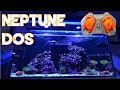 Red Sea Reefer 250 | Neptune Apex DOS | Simplified Dosing