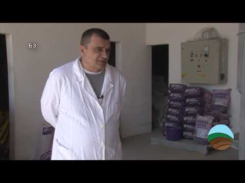 Buducnost premiksa je u ZDRAVLJU I IMUNOM SISTEMU  - ishrana prevazidjena