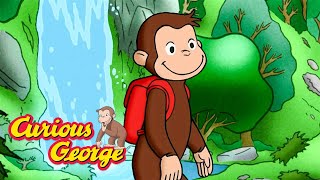 Don't Get Lost! 🐵 Curious George 🐵 Kids Cartoon 🐵 Kids Movies