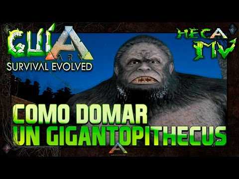ARK Survival Evolved | Como domar un GIGANTOPITHECUS | La mejor guía en Español