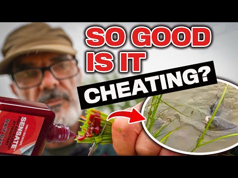 Fishing's Best Kept Secret | Carp React Like THIS