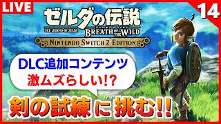 【ブレワイ 実況】最難関と噂の剣の試練とやらに挑戦！（初見）【ゼルダの伝説 ブレス オブ ザ ワイルド】#14
