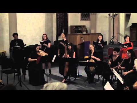 Stella splendens in monte