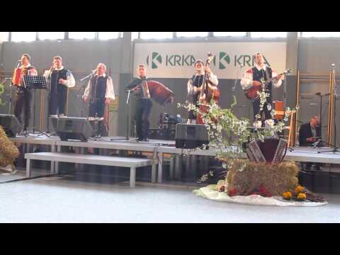 Dolenjski zvoki in Jože Pečjak-Ne reci nikdar