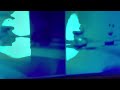 The Backyardigans Theme Intro In G Major 14
