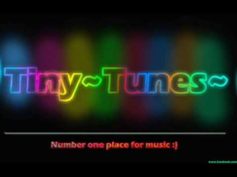 The Bomb (Stereothieves Bootleg) - The Bucketheads