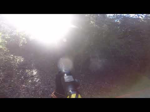 Sanglier 25kgs CORSE battue de Charles 19/01/19.