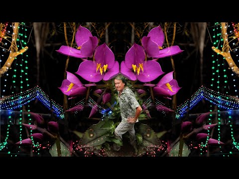 FIELD TRIP WITH PATRICK BLANC IN INDIA - WESTERN GHATS - BRAHMAGIRI TO ERAVIKULAM