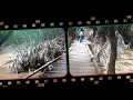 NUSANTARA JAYA THE TRAVEL VIDEO