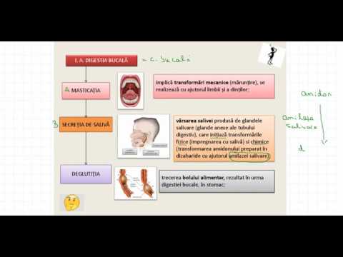 Vestibular papillomatosis cancer