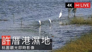 許厝港湿地