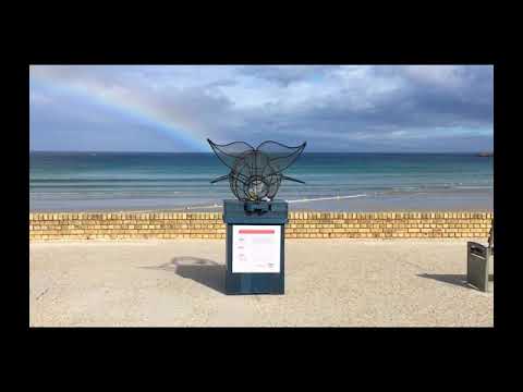 A beach clean up bin shaped like a whale