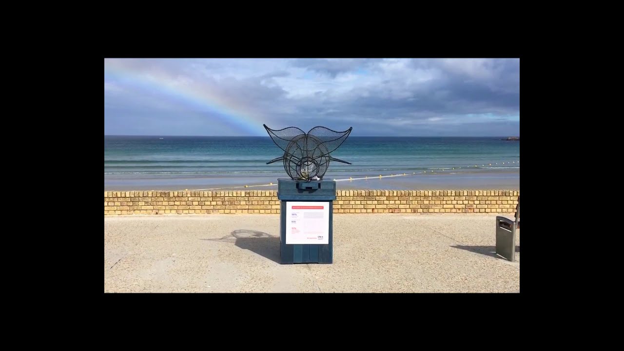 A beach clean up bin shaped like a whale