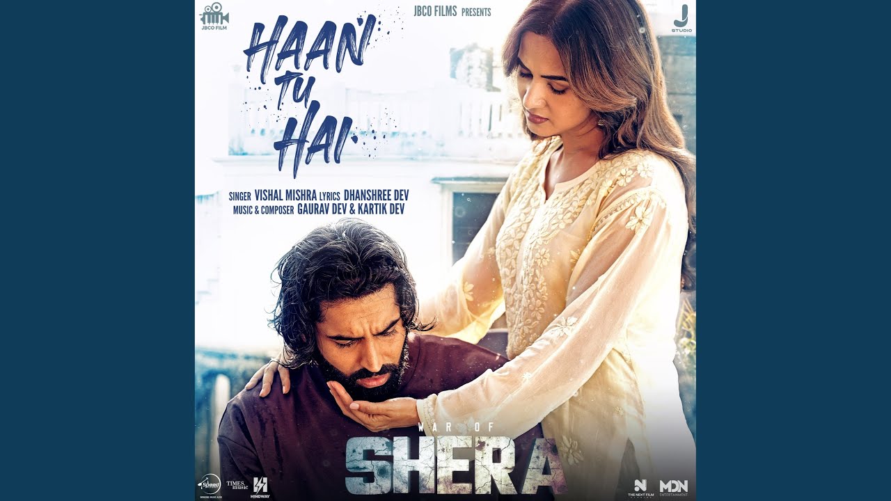 Haan Tu Hai Lyrics | Shera | Vishal Mishra