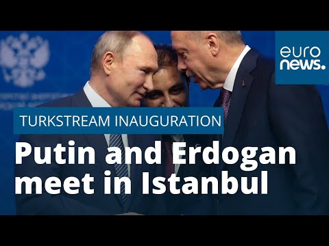 Putin and Erdogan meet in Istanbul for TurkStream inauguration