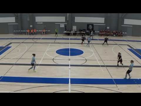 Naisten futsal-liiga 2016-2017 / Välierä 1 ACE vs. GFT maalikooste 11.3.2017