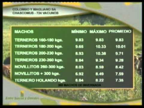 Entre Surcos y Corrales - Programa 50 - Parte 1 de 5