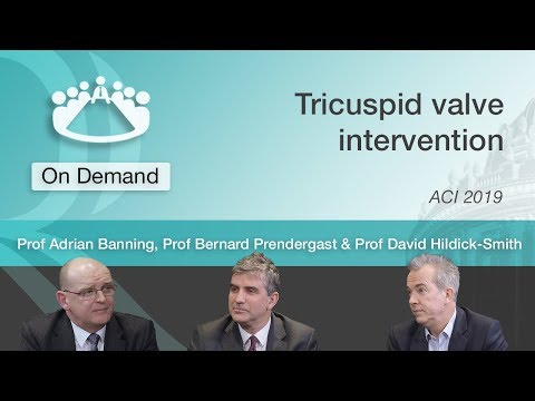 Roundtable discussion: tricuspid valve intervention