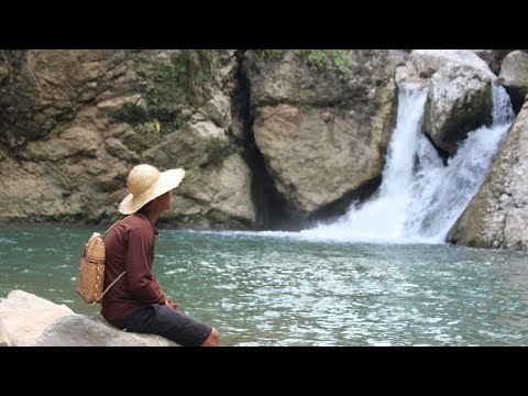 picking and cook SNAILS in coconut milk | life in the province | kabagis