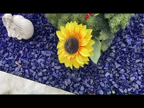 Graveside tribute to Billy Fury by Michael Parkinson on the 43rd Anniversary of his death