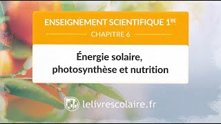 Énergie solaire, photosynthèse et nutrition (Enseignement scientifique 1re)