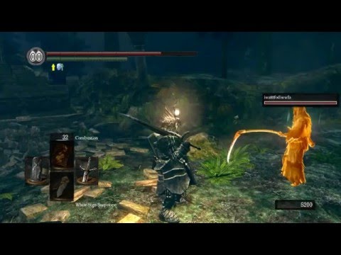 Dark Souls co-op Quick Rinse