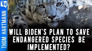 Biden's 'First-Ever' Blueprint on Protecting Endangered Species From Pesticides Revealed