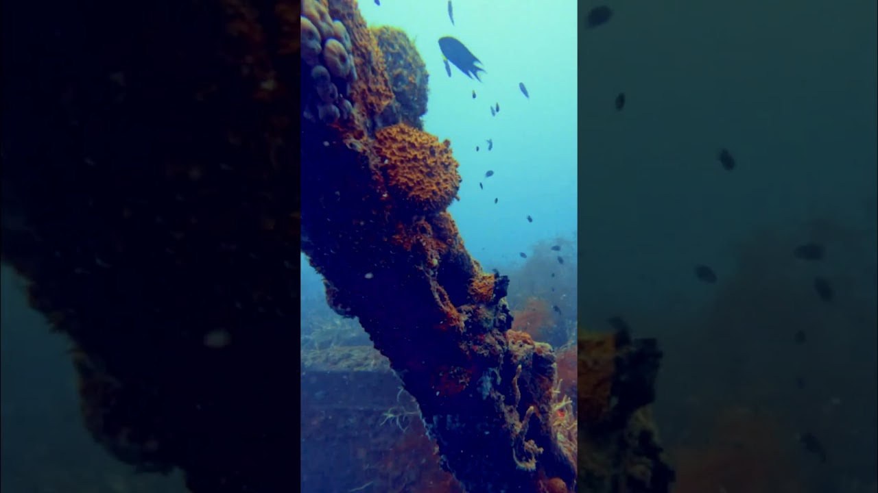 YouTube Short thumbnail