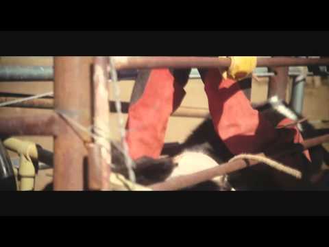 Gareth Emery feat. Bo Bruce - U (Nicholas Lennox Remix)