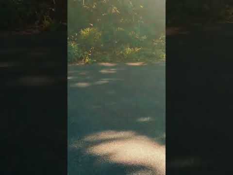 Heriberto Soria Rodriguez and landscaping and Maintenance