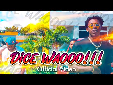 El Bloonel ❌ Bougie Papi ❌ El Fother ❌ Glokenzo ❌  Micky El Tsunami  - Dice Waooo (Official Video)