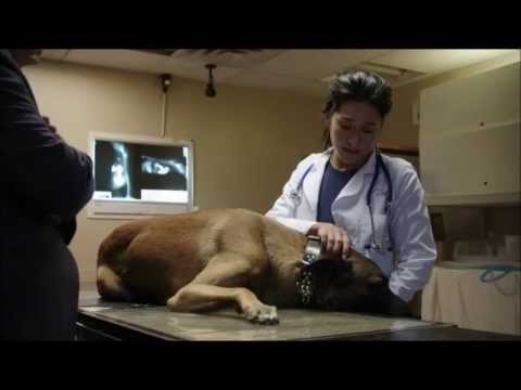 Person Of Interest You Shouldn't Have Done That (Season 3 Episode 4)