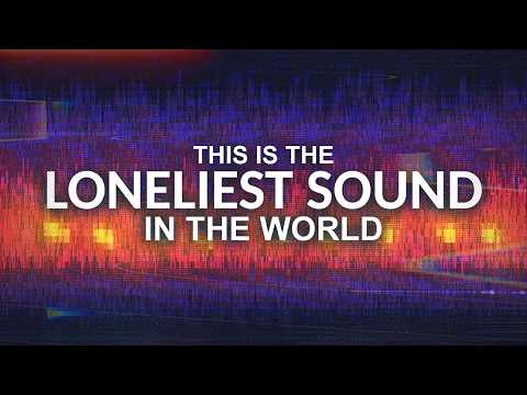 First Recorded in 1989, This Sound Still Stumps Scientists | Tales From the Bottle