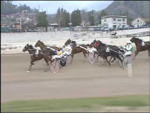 Trotto 05/02/2017 - 3ª corsa