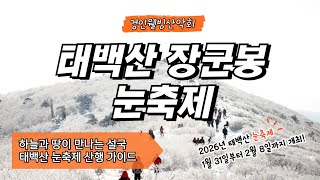 하늘과 땅이 만나는 설국, 태백산 눈축제 산행 가이드 - 태백산 장군봉 & 눈축제