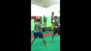 Andreino vs Andreone