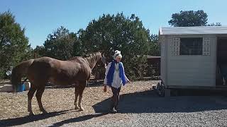 Halloween Freestyle: Cheri and Caesar