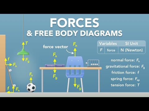 Forces and Free Body Diagrams | Physics - Forces & Newton's Laws