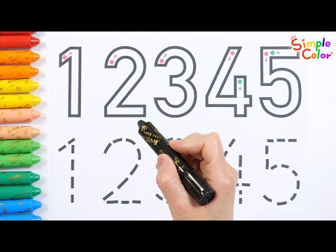 What number will the colored part become? | Learning Numbers 1 to 5 | Number Kindergarten for kids