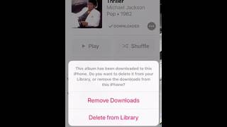 How to remove/Download songs to your iPhone