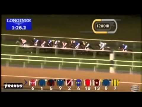 22.01.2015 Meydan (Dubai/UAE) 7.Race Gulf News - Handicap  2.435 m