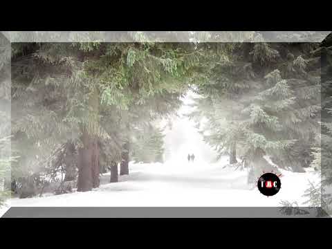 Did You Ever Love Me  - Ten Towers