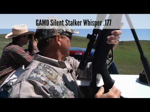 Prairie Dog Control With a GAMO Air Rifle