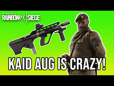 Kaids Aug is Crazy Now