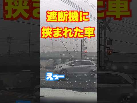 テスラ事故:空席の運転席に警察困惑