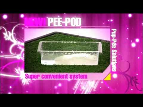 download lagu mp3 mp4 Pee Pods, download lagu Pee Pods gratis, unduh video klip Pee Pods