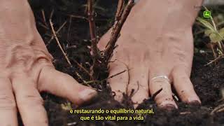 Por um Brasil Mais Verde - Cliente Agenor Dall Santo