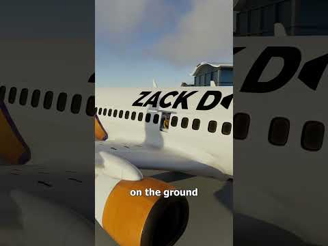 Pulling The Emergency Door On A Plane 😮