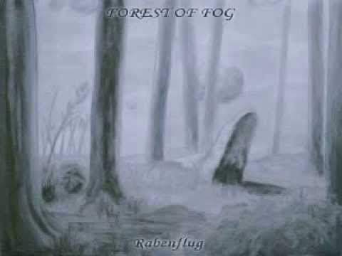 Forest of Fog - Das Licht Erlosch