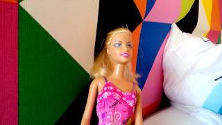 Kurze Vorstellung von der Serie Barbie und Stan